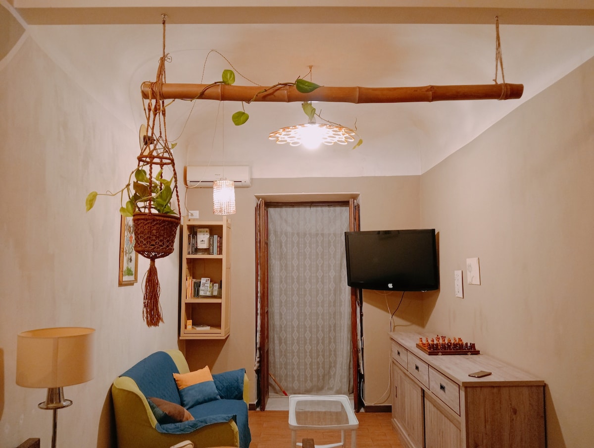 მისაღები ოთახი გასაშლელი დივნით