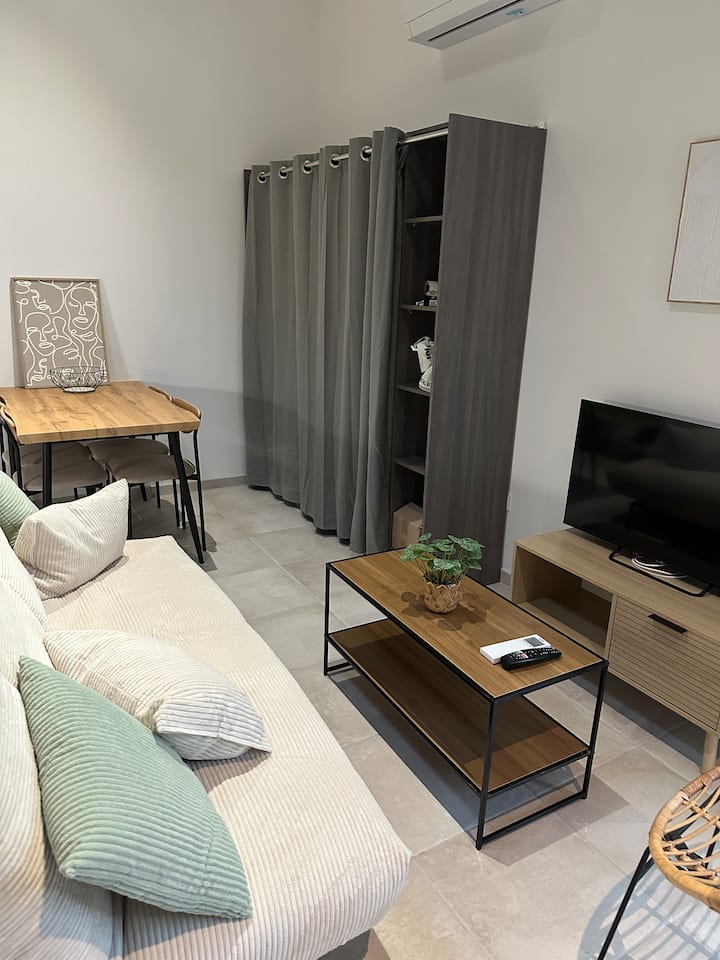 Duplex Au Calme Climatisé/terrasse/parking - Carcassonne