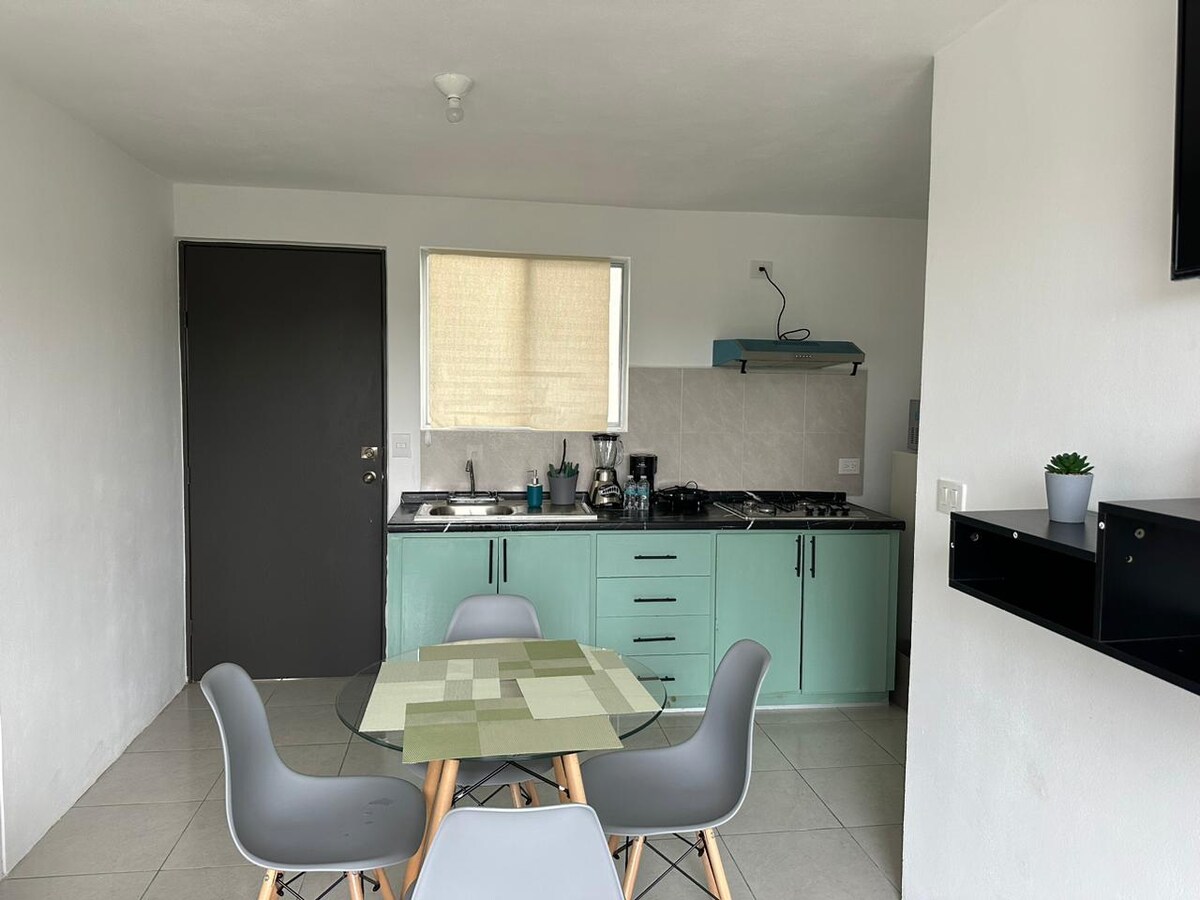 A modern kitchen area is presented, featuring mint green cabinetry and a neutral countertop. A round glass dining table with grey chairs is centered in the space, illuminated by natural light from a window. Minimalist decor is evident with a small plant on the shelf.