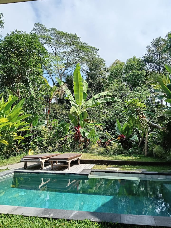 Private Pool Villa With  Jungle And River View - Ubud