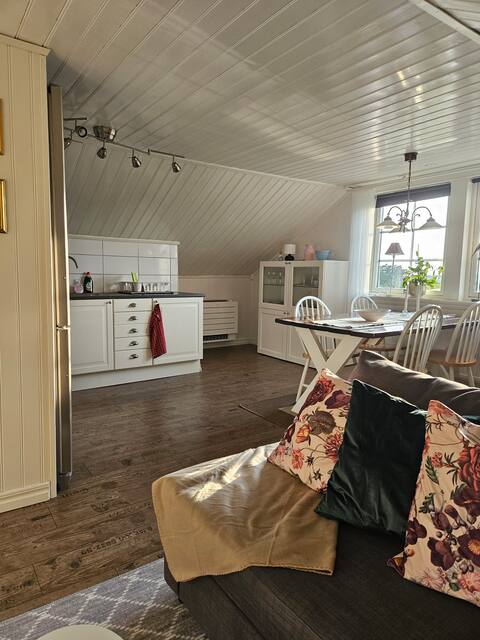 Successful Airbnb property: Brother-in-law's apartment in Sotenäs