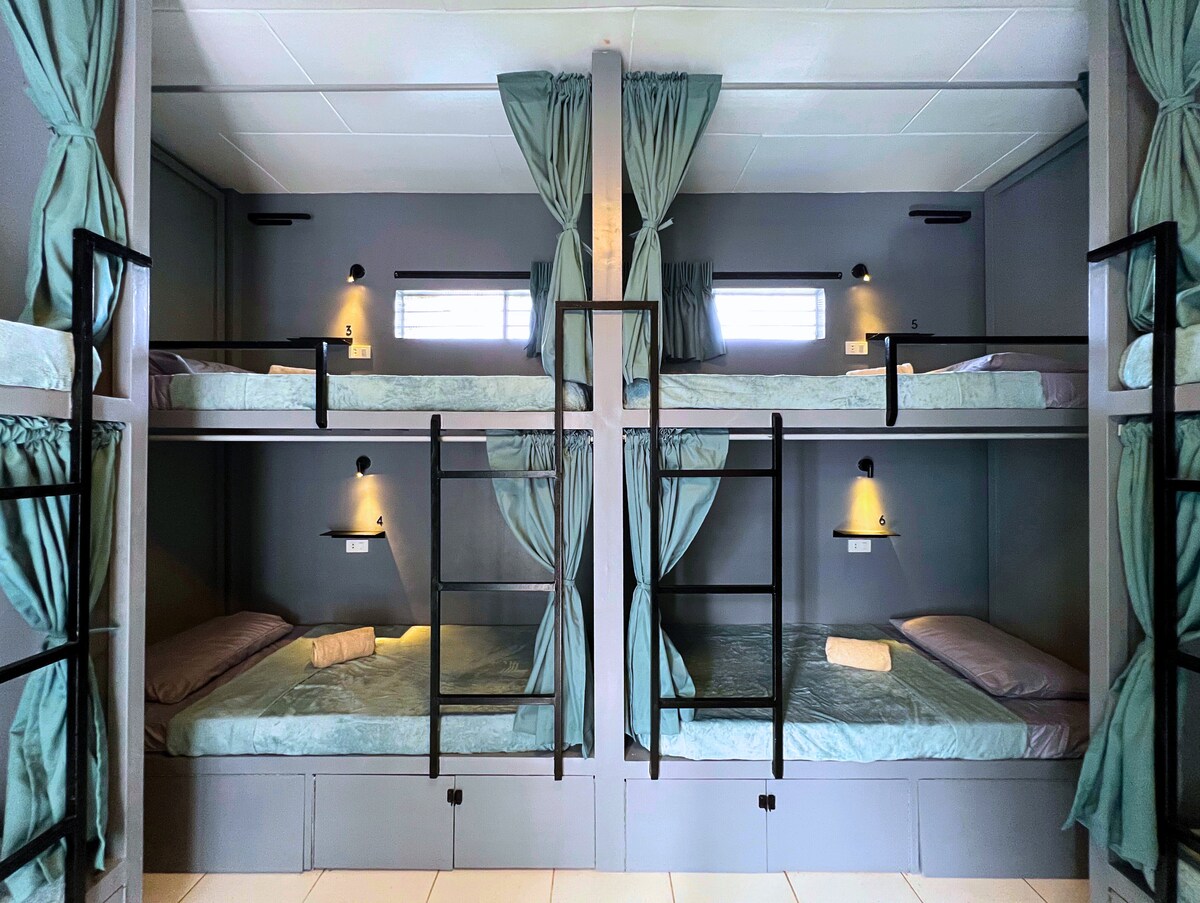 A group lodging area features two sets of sturdy bunk beds, each with protective curtains for privacy. Soft, neutral linens cover the mattresses, while wall-mounted lights provide gentle illumination. Two windows above allow natural light to filter in, enhancing the welcoming ambiance.