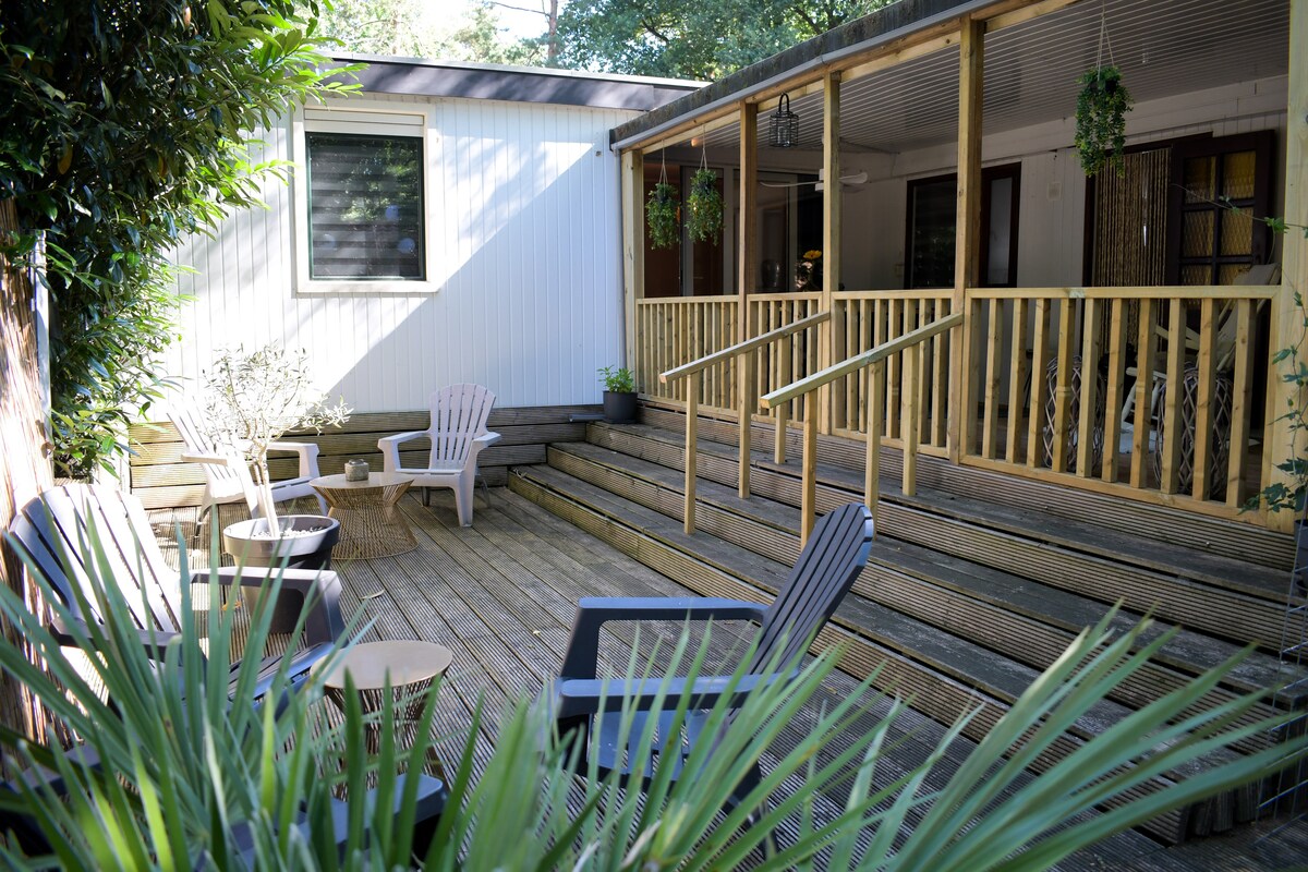 A spacious wooden deck is visible, leading to a covered veranda. Several seating options, including Adirondack chairs and a small table, are positioned amongst greenery. The entrance to the chalet is framed by plants, creating a serene setting that invites relaxation.
