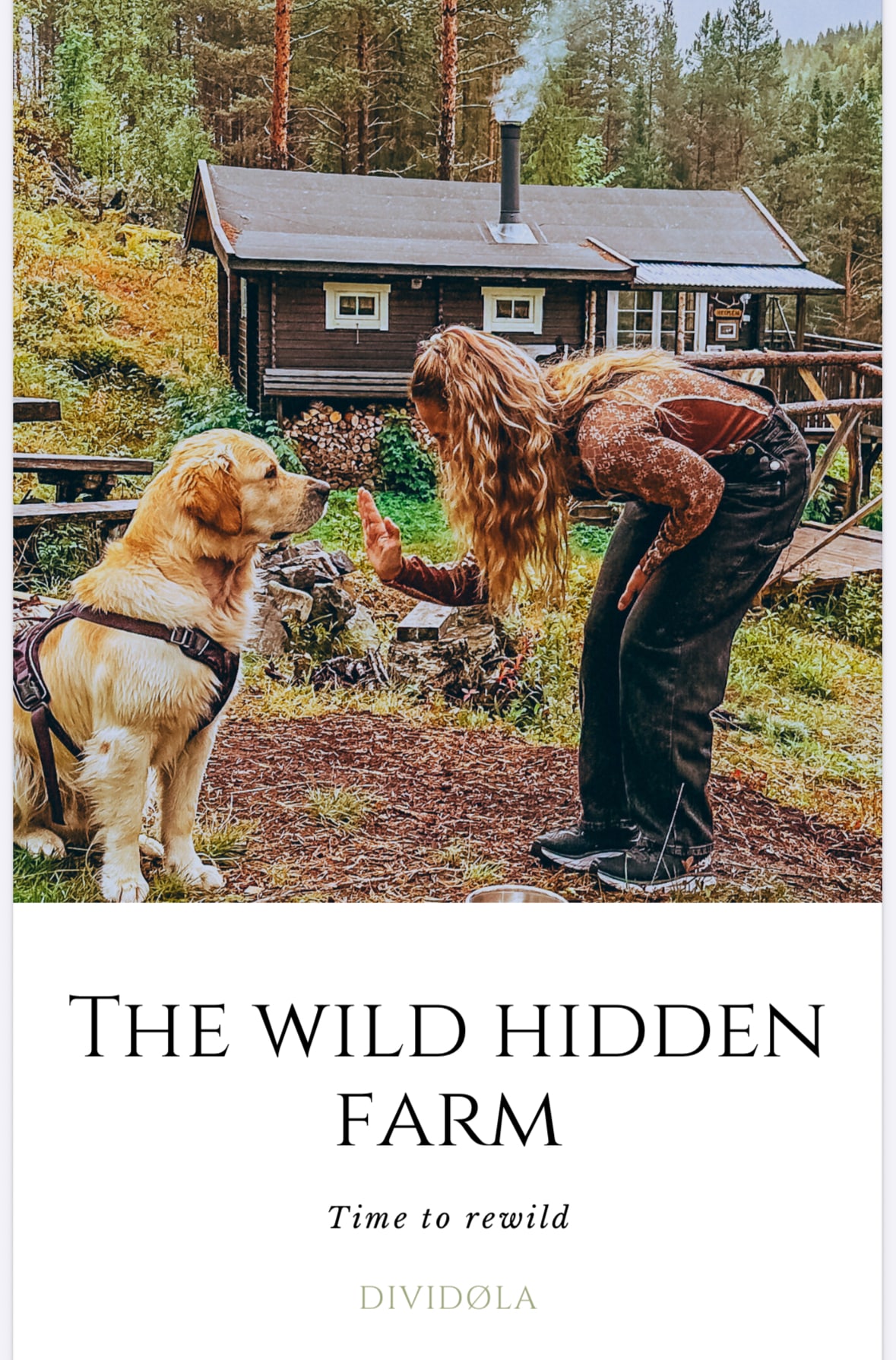 A small, rustic cabin is set among tall trees, providing a serene backdrop. A person is seen engaging with a golden retriever, both enjoying the natural surroundings. The cabin features a chimney and is nestled amid lush greenery, contributing to a sense of tranquility.