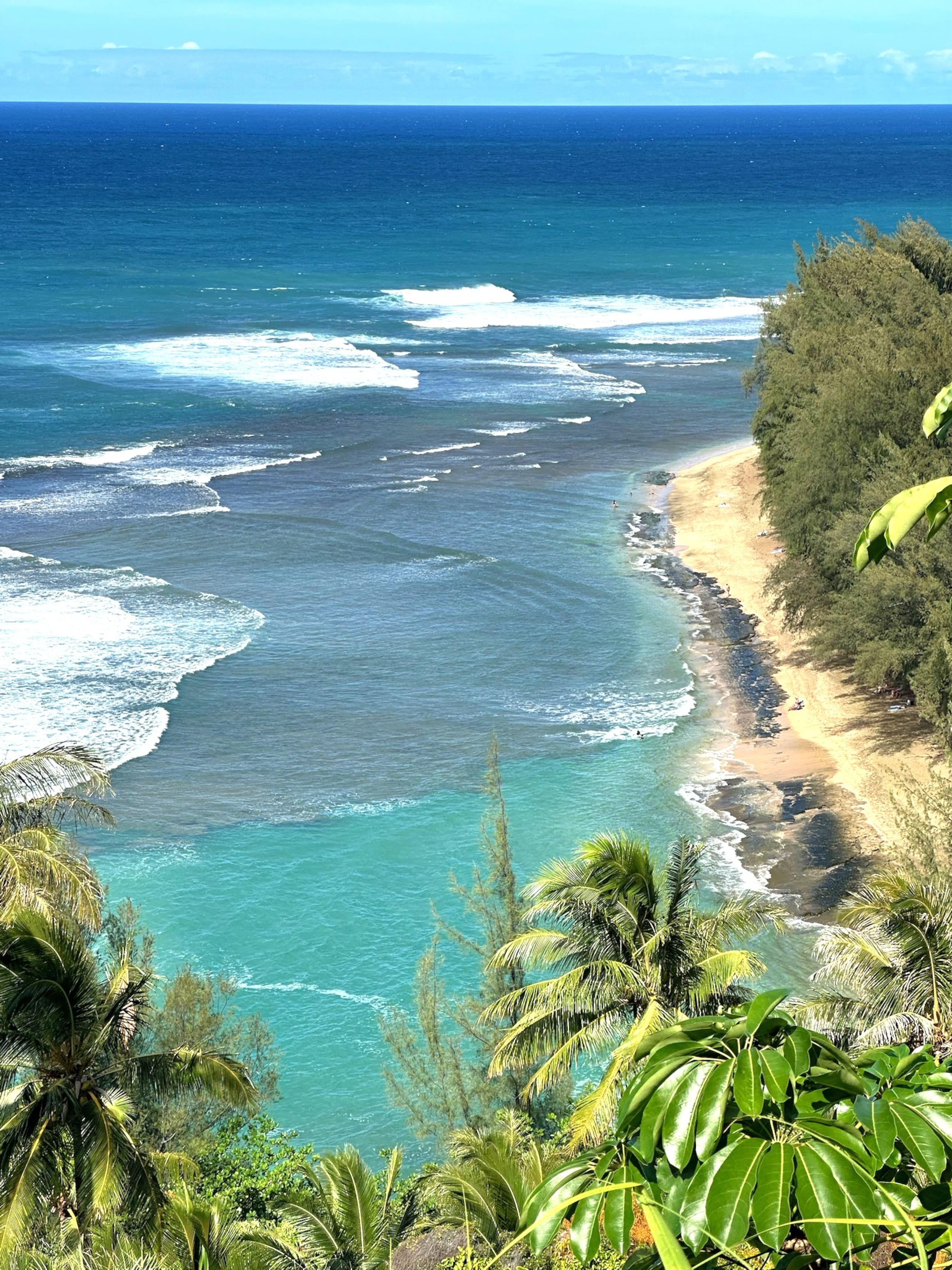 Charming Oceanfront CONDITIONED2bed/2bath - Image 57