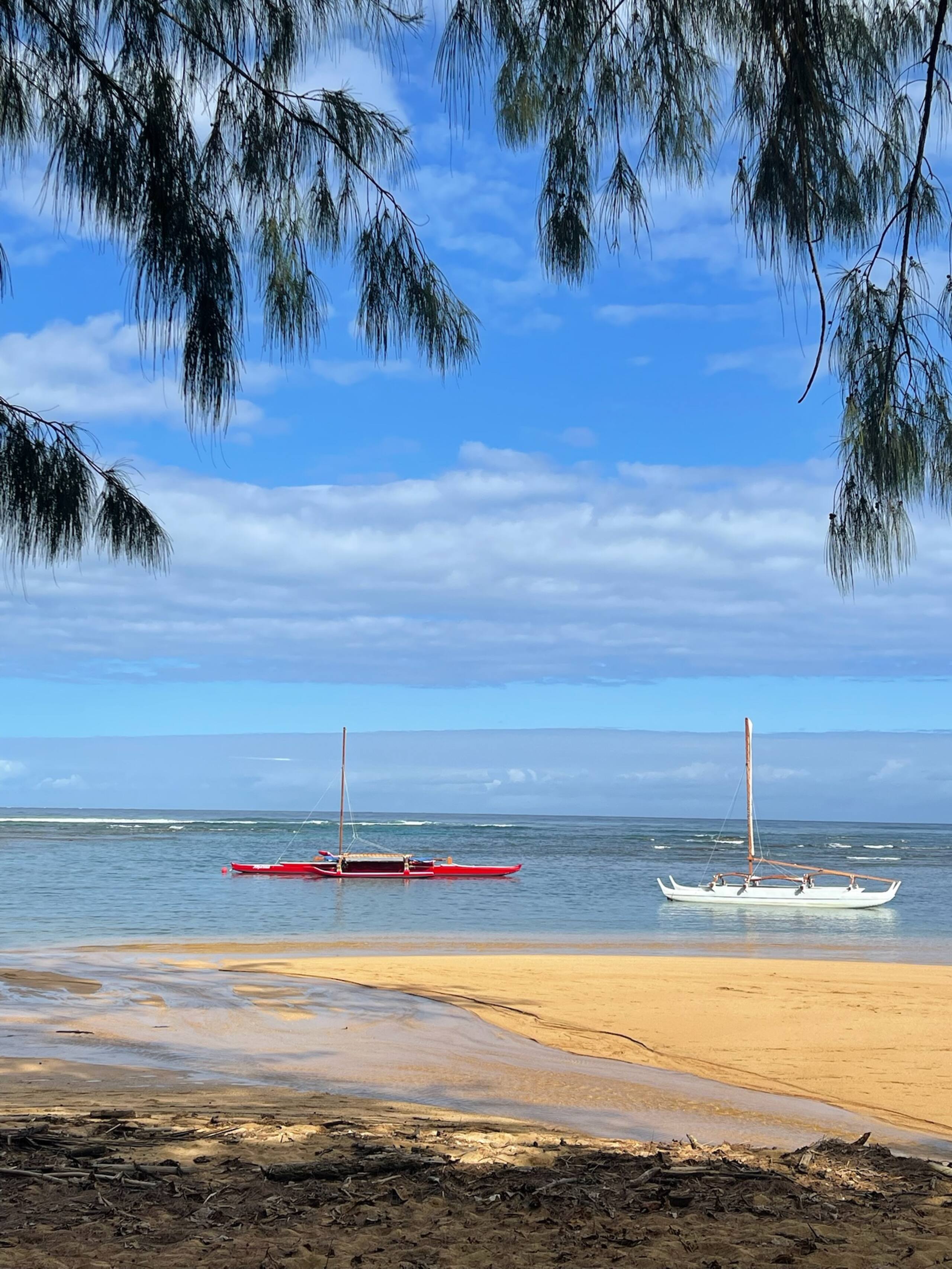 Charming Oceanfront CONDITIONED2bed/2bath - Image 49