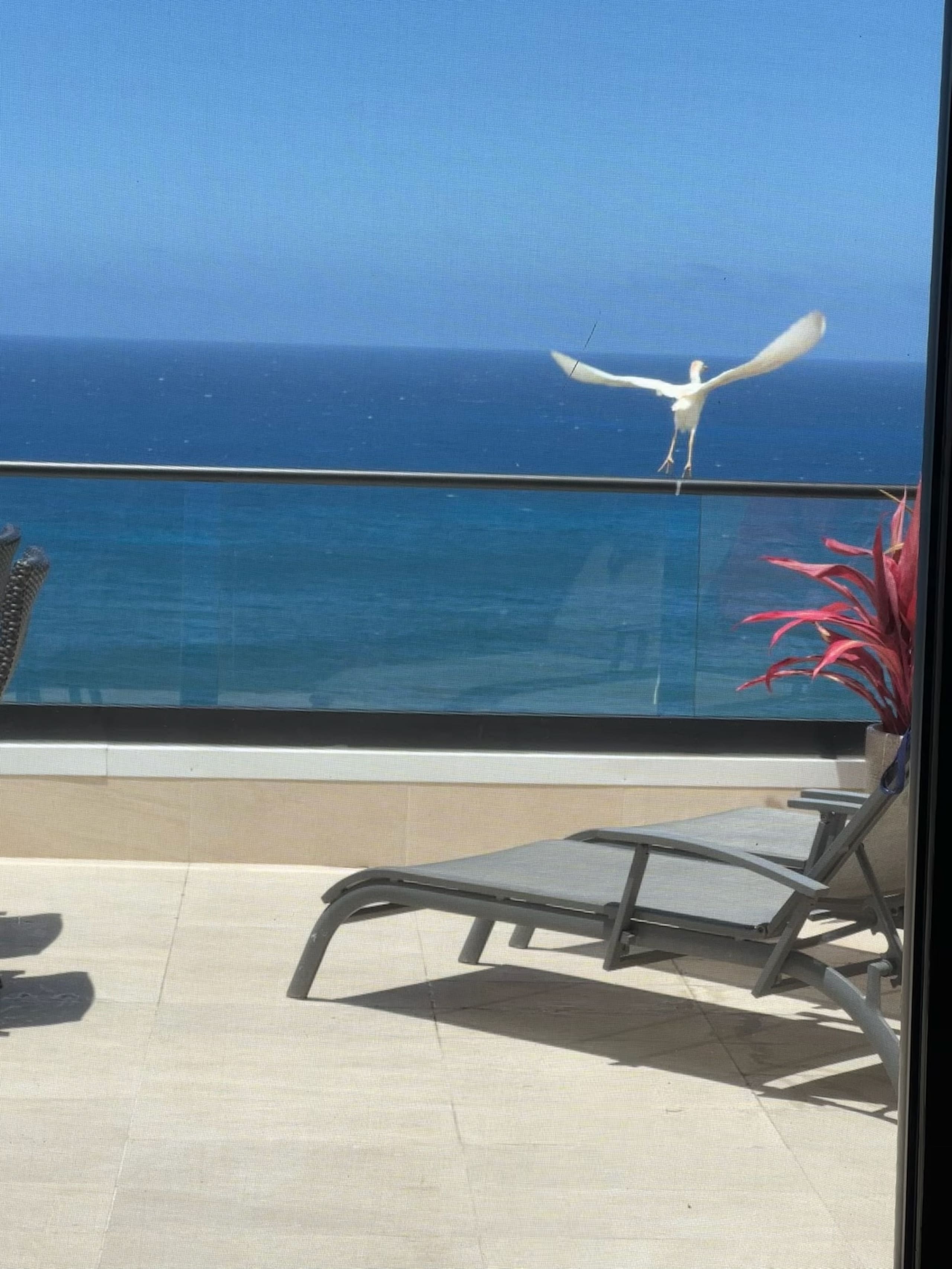 Charming Oceanfront CONDITIONED2bed/2bath - Image 38