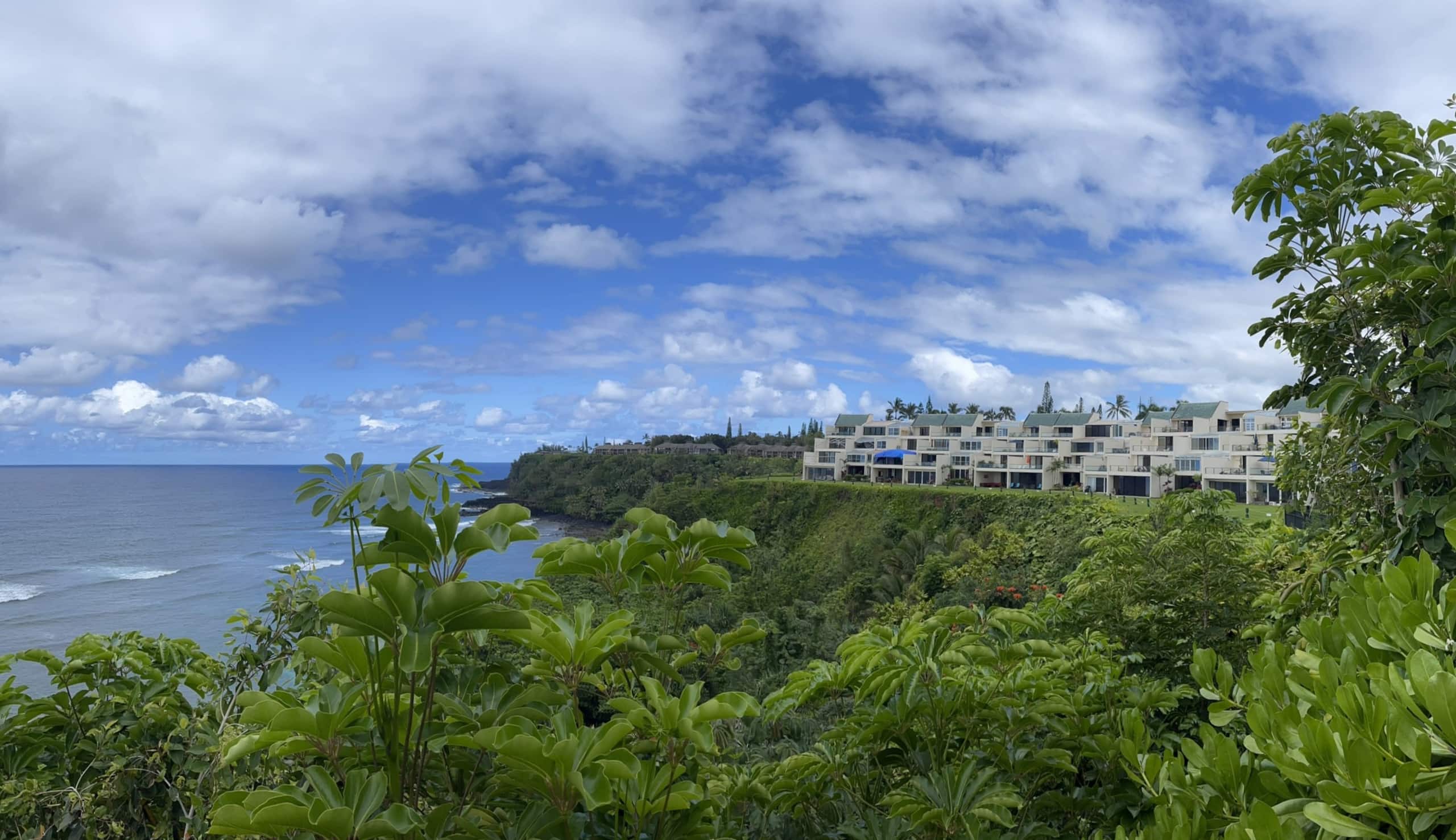Charming Oceanfront CONDITIONED2bed/2bath - Image 40