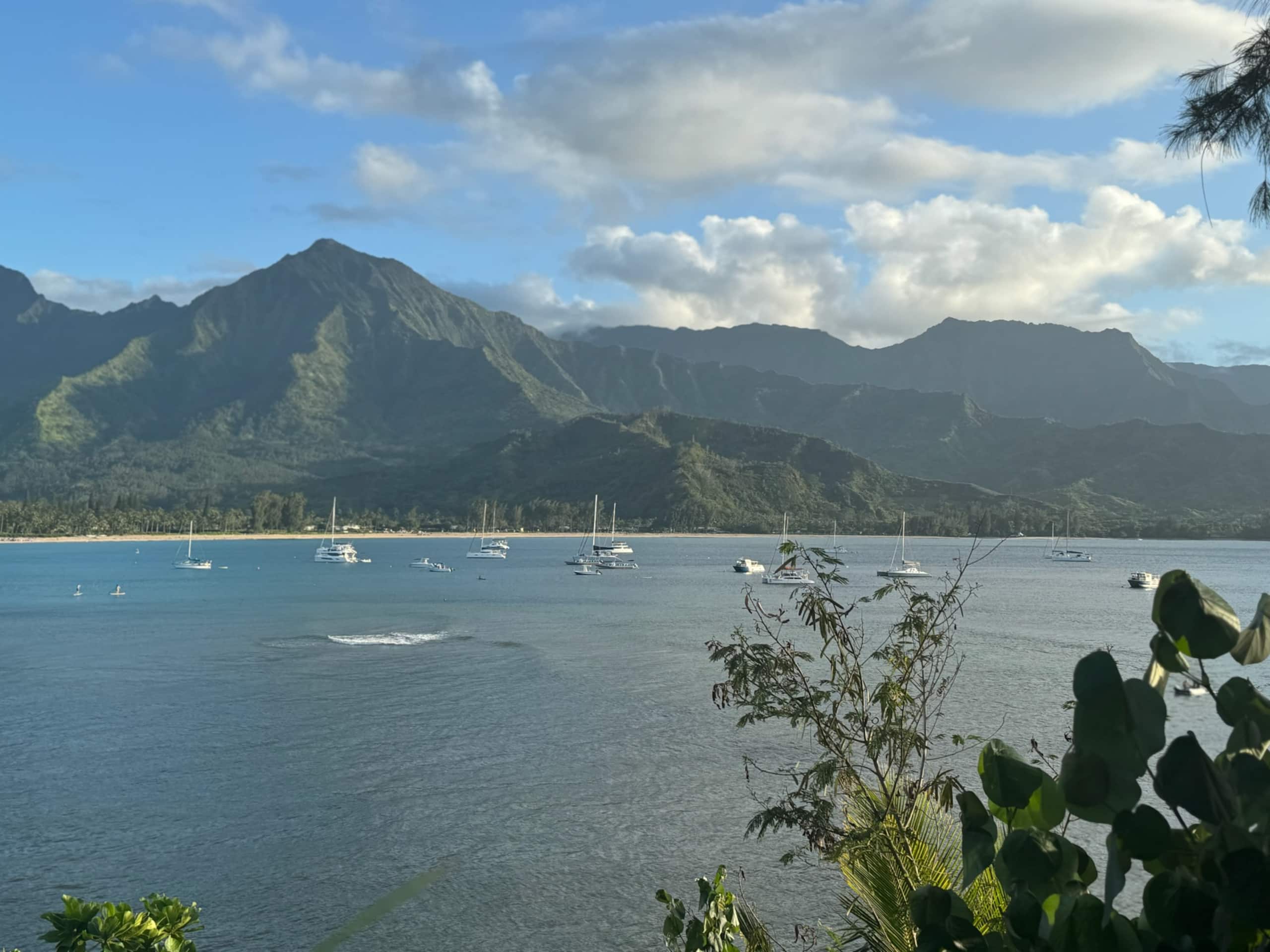 Charming Oceanfront CONDITIONED2bed/2bath - Image 69
