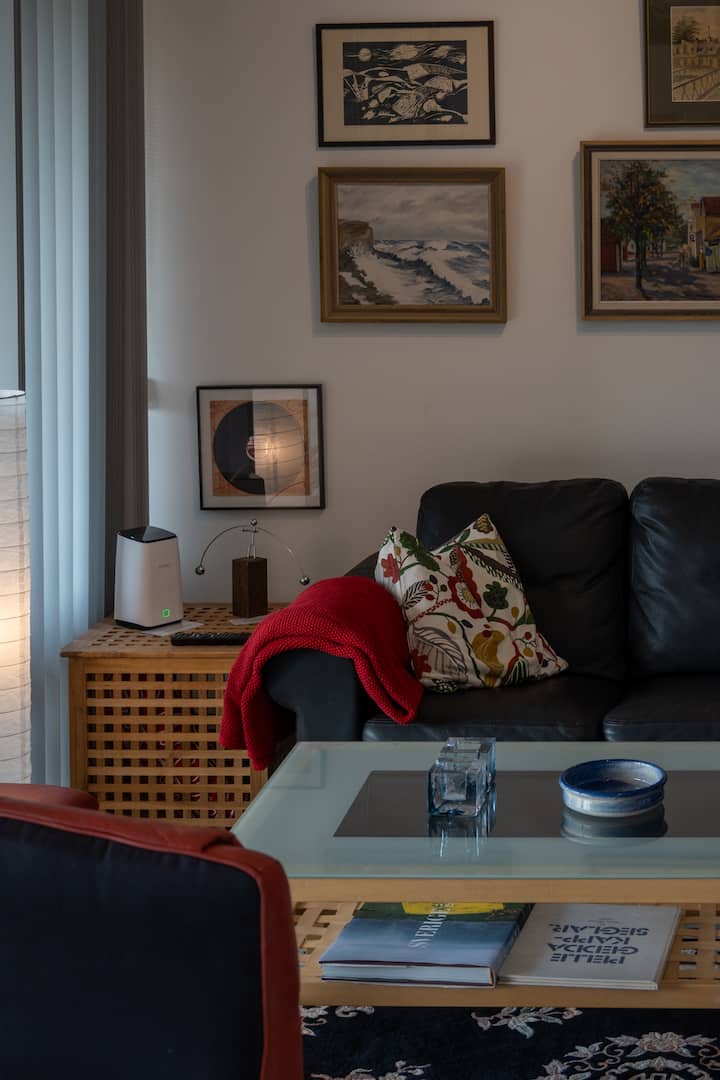 Stunning Modern Retreat - Suède