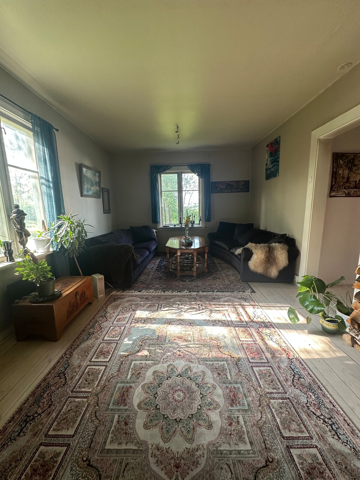 A well-lit living room is depicted, featuring two comfortable sofas positioned across from each other. A coffee table sits in the center, decorated with a small plant. Natural light flows through a large window, illuminating a patterned area rug that enhances the inviting atmosphere.