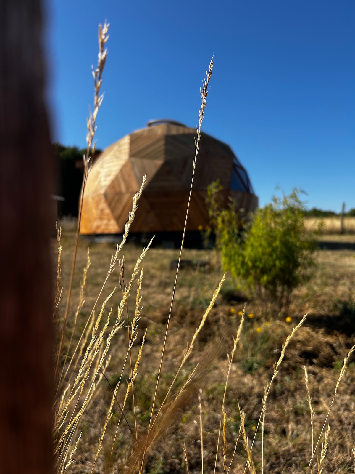 A wooden geodesic dome is set against a clear blue sky, surrounded by tall grass and sparse vegetation. The structure showcases a combination of triangular panels, reflecting natural tones. The foreground highlights dry grass blades, adding a rustic element to the serene landscape.