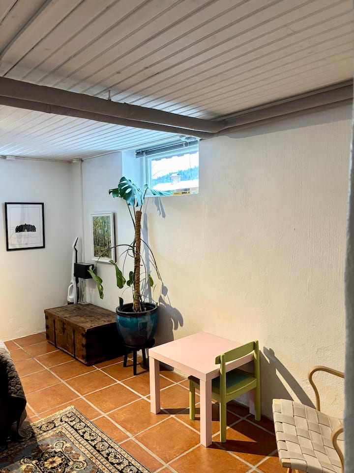 Spastund Gjutaregatan - Jönköping