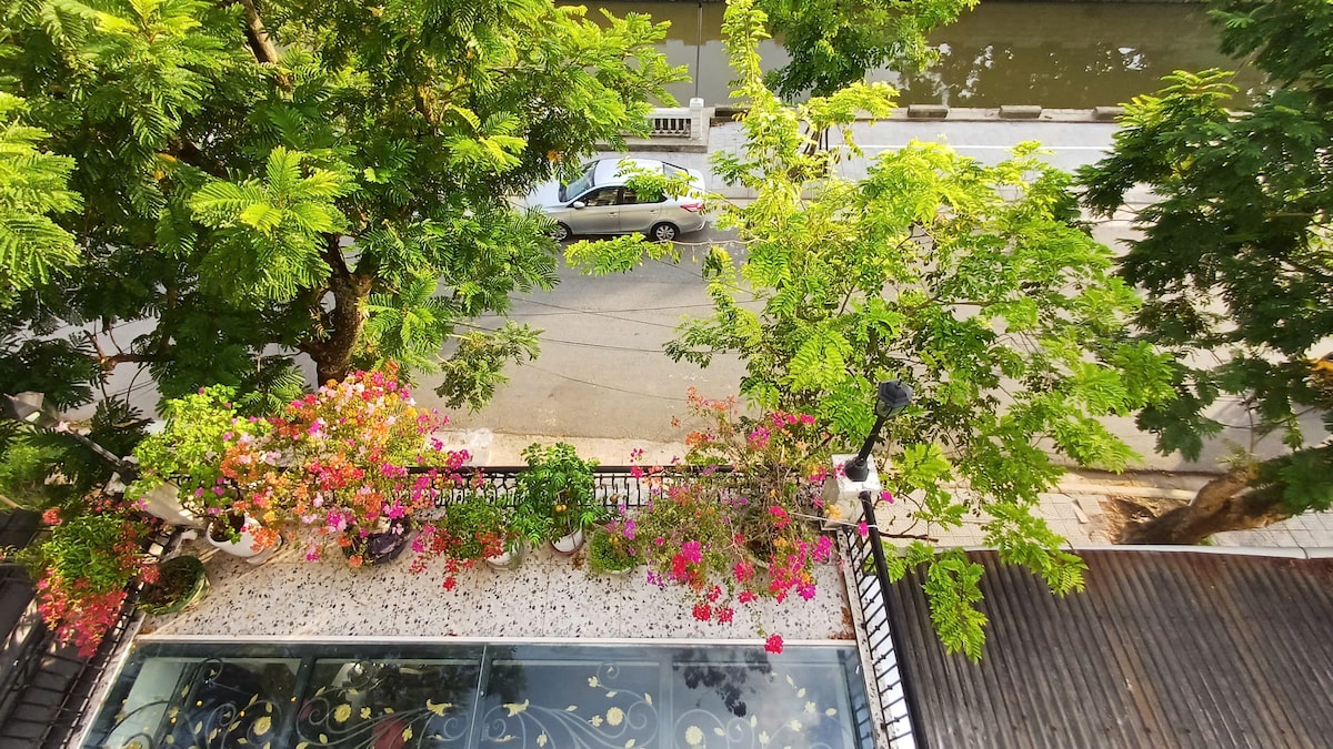A view from above showcases a balcony adorned with vibrant flower pots and lush green foliage. The quiet street below is lined with trees, while a vehicle is parked along the side, contributing to the serene atmosphere of the setting.