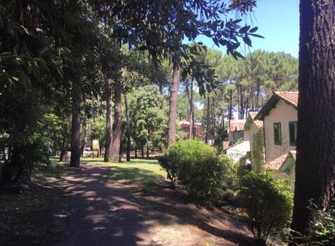 Successful Airbnb property: Small quiet apartment, Swimming pool, Golf, Cycling and Surfing in Lacanau