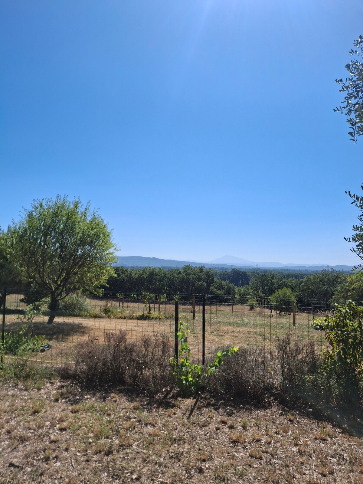 A wide, open landscape is presented, featuring green trees and a gently sloping horizon under a clear blue sky. Fenced boundaries are visible, demarcating the tranquil area. The scene reflects the natural beauty of the surrounding countryside with hints of distant mountains.