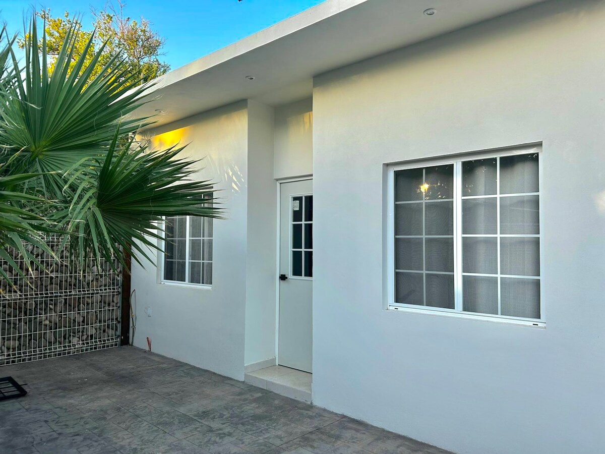 The entrance to a modern apartment is framed by two large windows, allowing natural light to brighten the exterior. A simple door leads inside, complemented by a clean, minimalist design and green foliage nearby that adds a touch of nature.