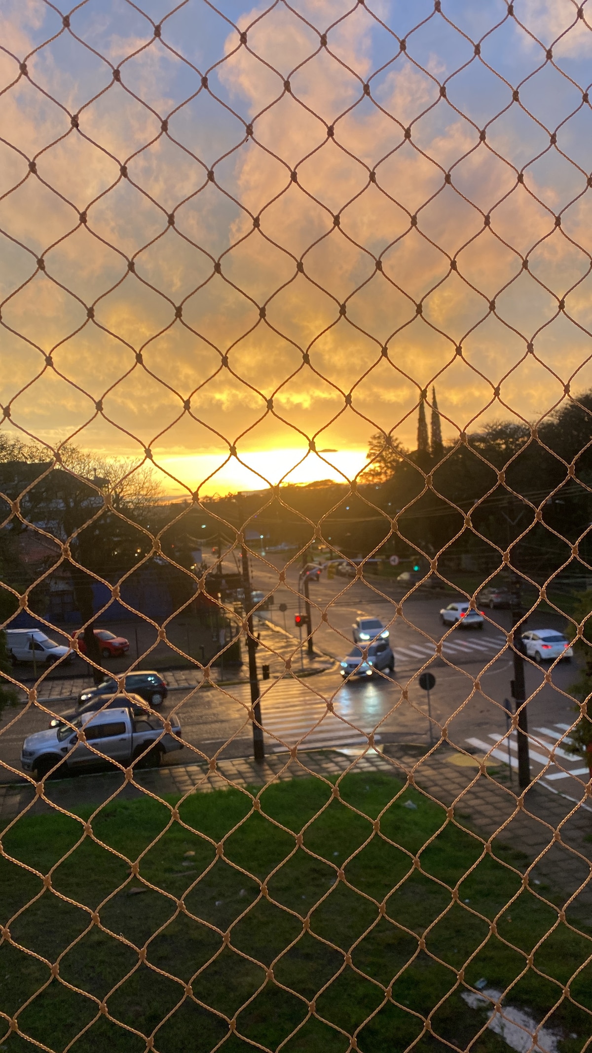 A sunset is captured through a protective mesh, revealing a view of a busy intersection. Reflections from wet pavement and illuminated traffic signals are visible, alongside vehicles waiting at the light. The sky showcases soft hues of orange and pink against a backdrop of trees.