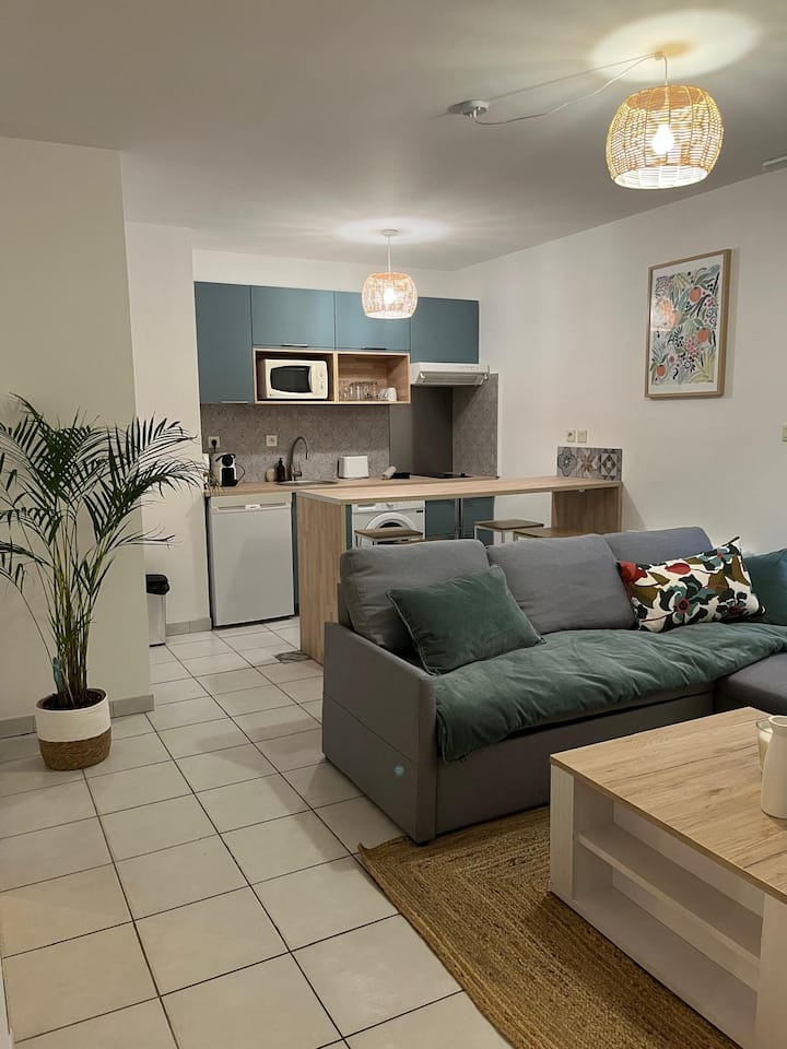 T2 Avec Balcon Et Parking à 10 Min Du Centre - Coulon