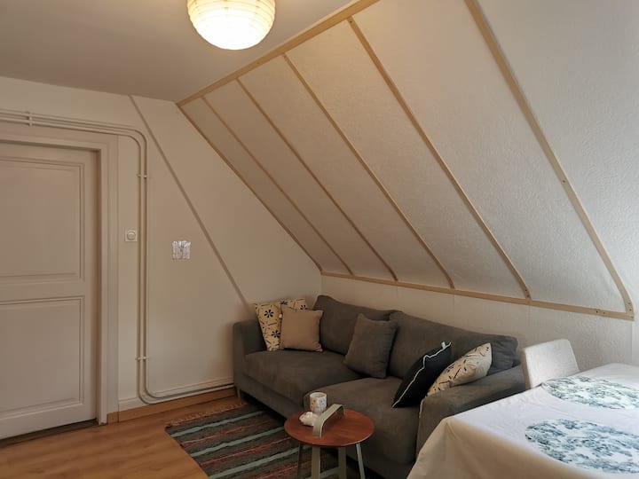 Loisir & Travail. Séjour Court Ou Long 2 Chambres - 米盧斯