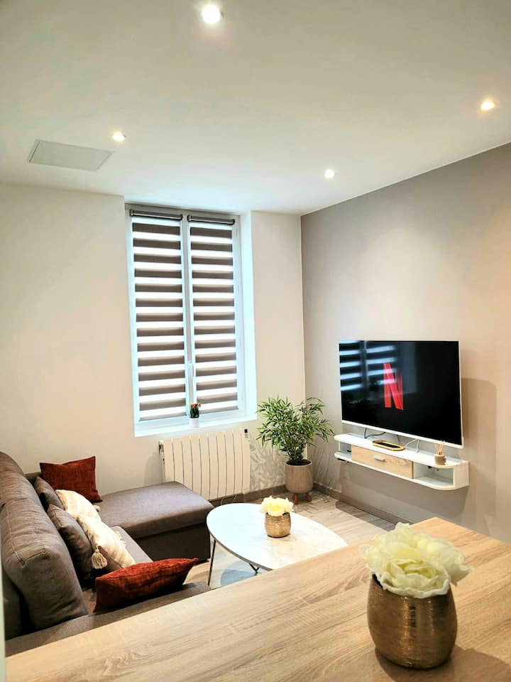 Charmant T3 Secteur Fac+ Netflix - Saint-Étienne