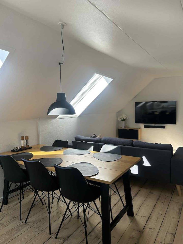 Central Lejlighed Midt I Ribe - Denmark