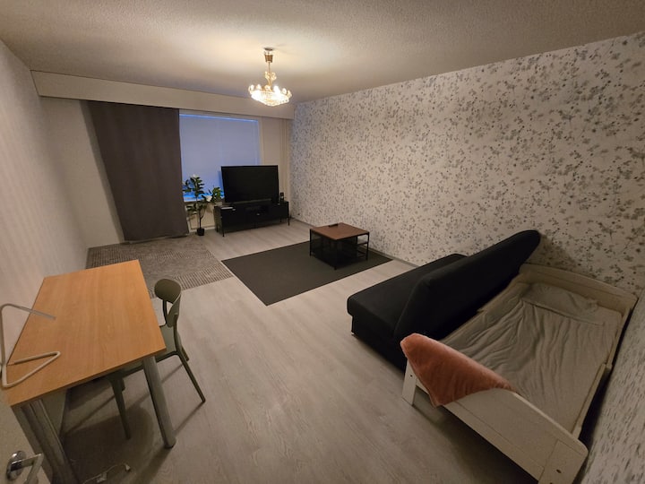 Tilava Asunto Hyvällä Paikalla - Mikkeli