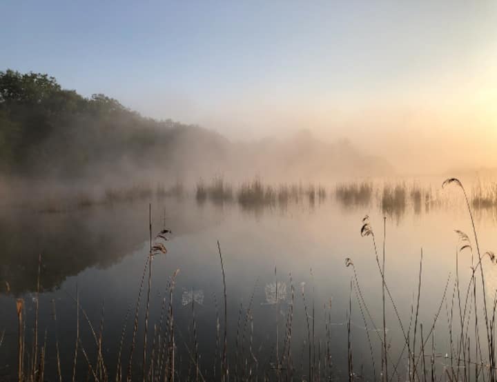 Votre Van Ou Tente – Bivouacs En Pleine Nature - Moselle