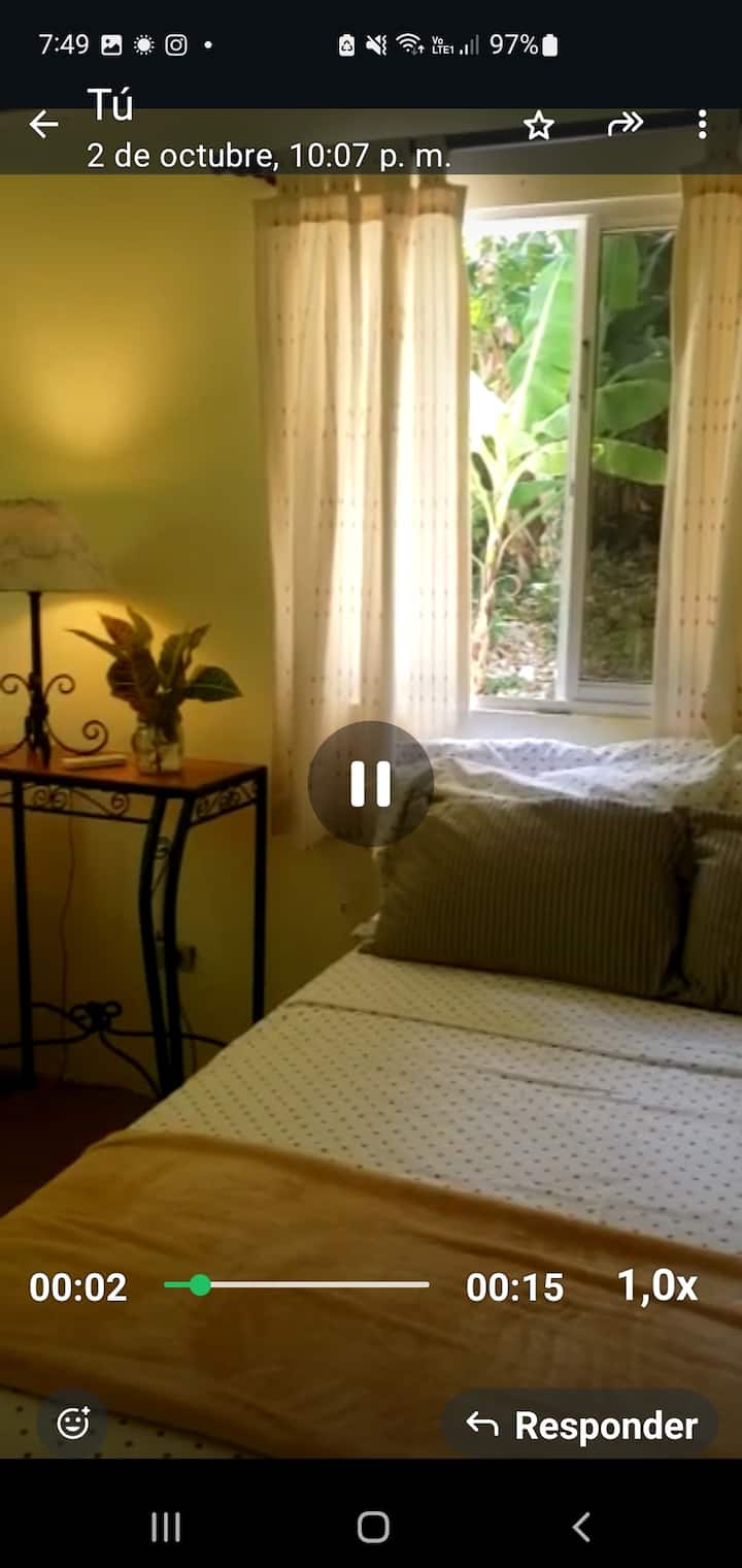 Habitación 3