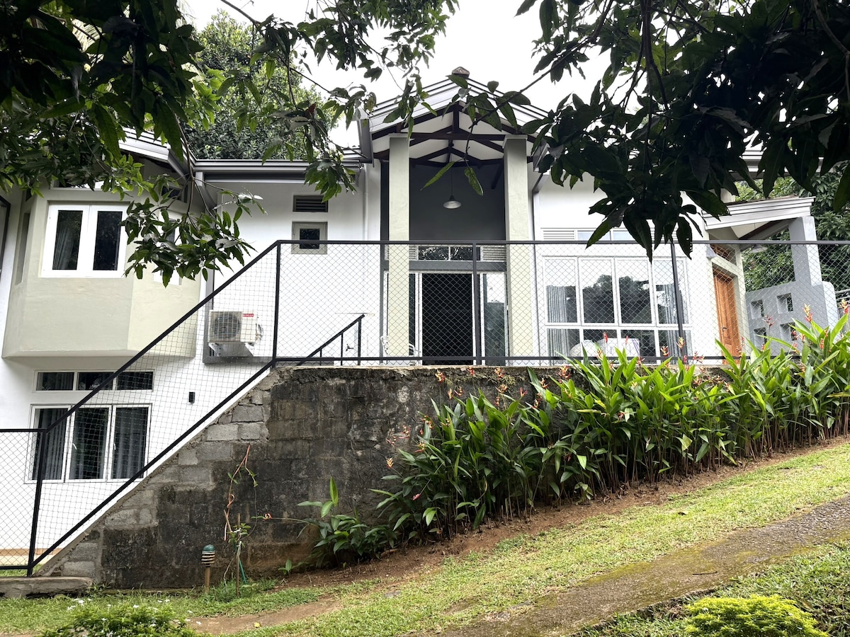 A modern cottage, positioned on elevated grounds, features large windows that invite ample natural light. Steps lead up to the entrance, surrounded by lush greenery. The property's exterior showcases a blend of textures with a combination of stone and painted walls, enhancing the natural setting.