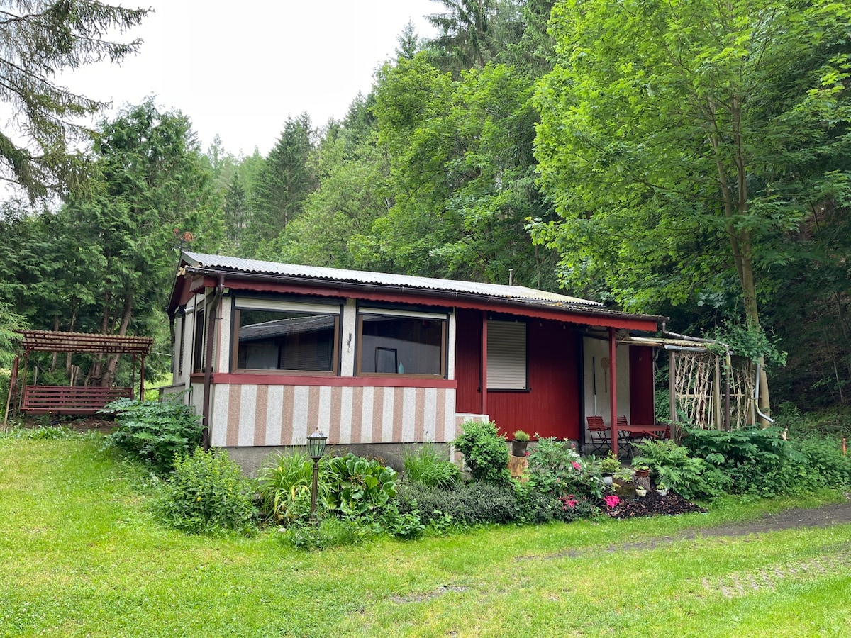 A red bungalow is set amidst lush greenery, showcasing a spacious veranda with garden views. Surrounding foliage enhances the natural ambiance, while flower beds add vibrant color to the landscape. The structured design features a roof and large windows, inviting ample light into the space.