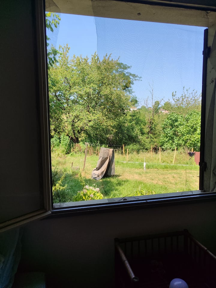 vista desde la habitación