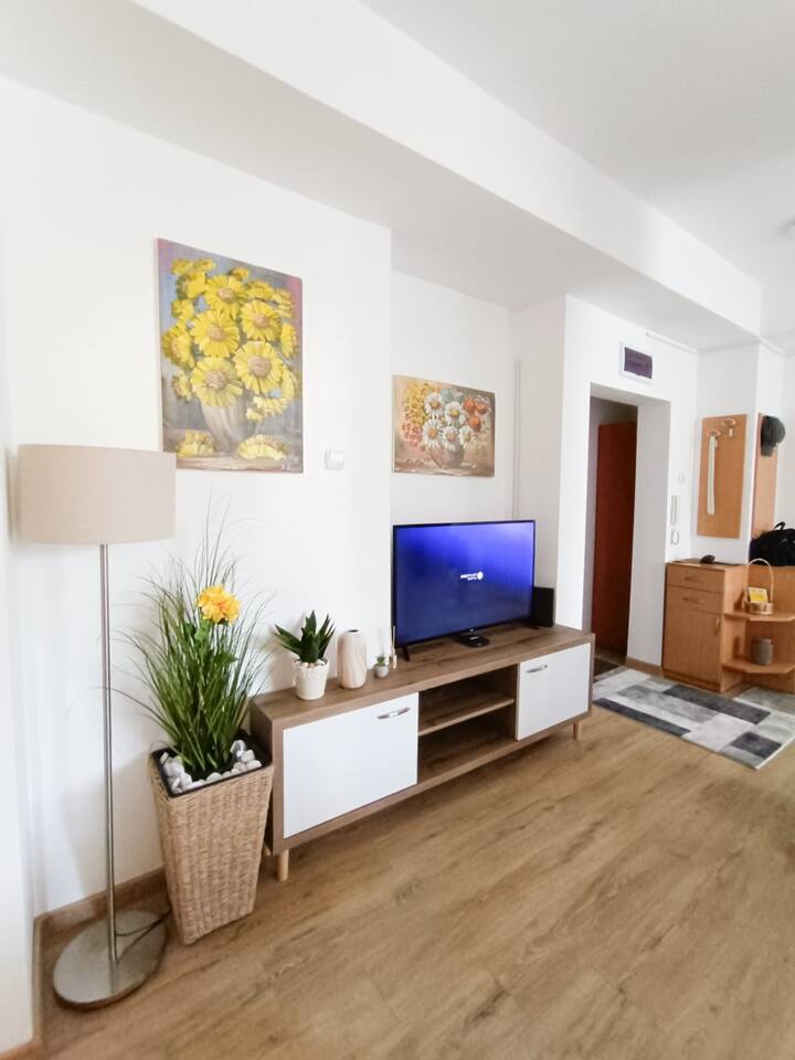 Apartman Viševac Vranje - Vranje