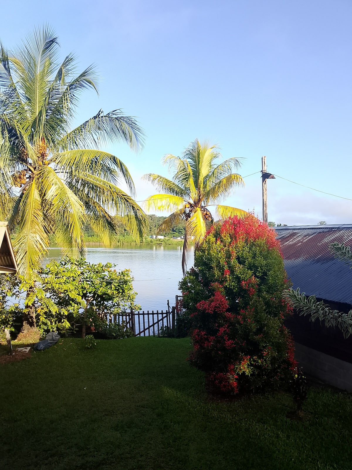 Lush palm trees and vibrant flowering plants frame a serene view of the river. A portion of a rustic building is visible on the right, and the tranquil water reflects the clear blue sky, enhancing the natural surroundings.