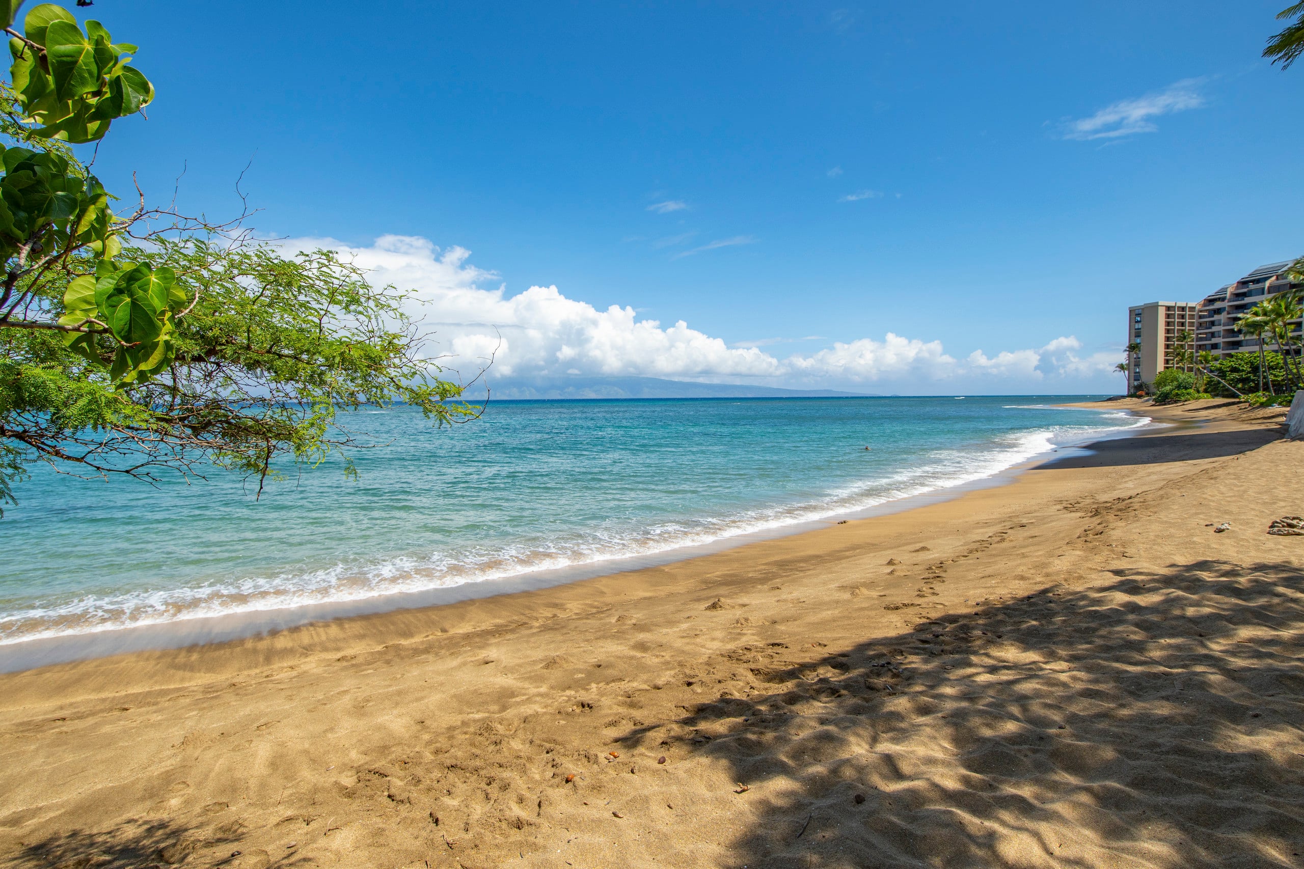 Condo in Lahaina · ★5.0 · 2 bedrooms · 3 beds · 2 private baths - Image 47