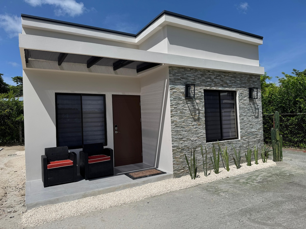 A contemporary exterior showcases a single-story residence with a stone-accented facade. Two black chairs are positioned beside a welcoming front door, framed by modern wall sconces. Lush greenery and cacti line the entrance, under a clear blue sky.