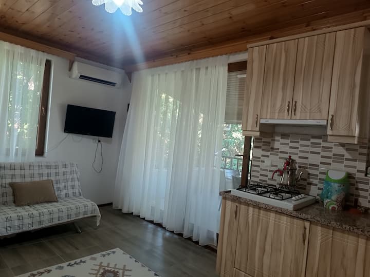 Mesudiye/hayıtbükü 2+1 Daire - Datça