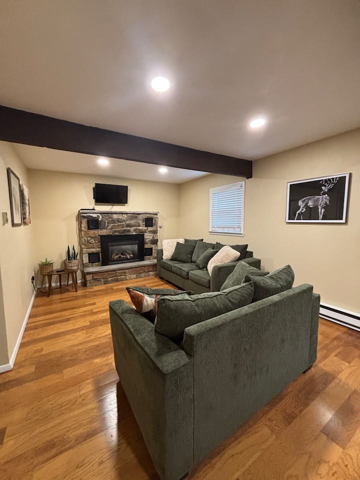 Sala de estar, sofá cama tamaño queen, televisión, chimenea eléctrica, acogedor, cómodo, relajarse