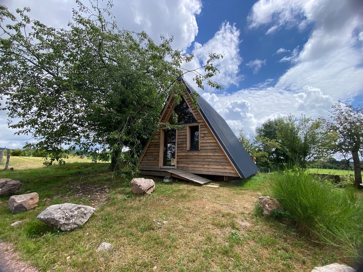 A unique wooden cabin is situated in a serene green landscape, framed by trees and boulders. The A-frame structure features a sloped roof, large front windows, and a charming entrance, inviting a peaceful connection with nature.