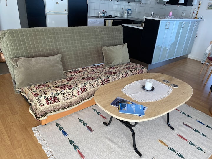 Sokkellejlighed Med Flott Udsigt Og Fri Parkering - 挪威