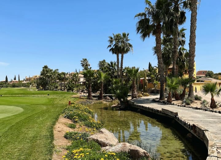Palmeral y ría dentro del campo: un paseo precioso.