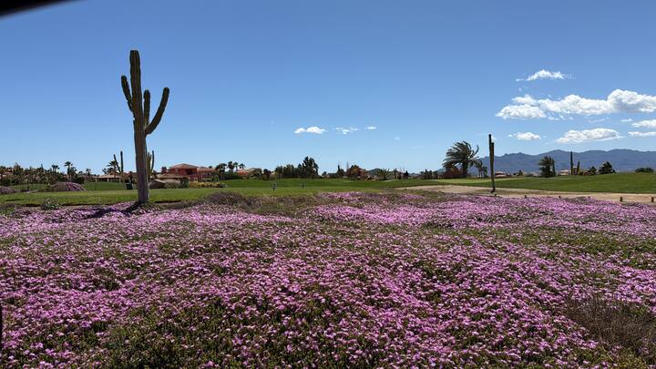Vista increíble del campo de golf.