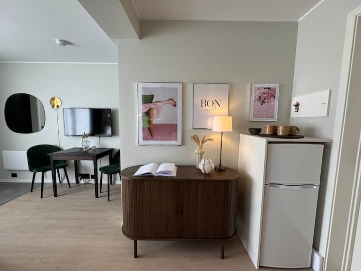 Central & Luxurious New Studio With Private Patio. - 트롬쇠