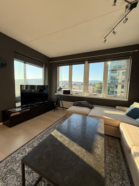 Popular Airbnb listing: Sunny apartment with balcony and roof terrace in Ullern