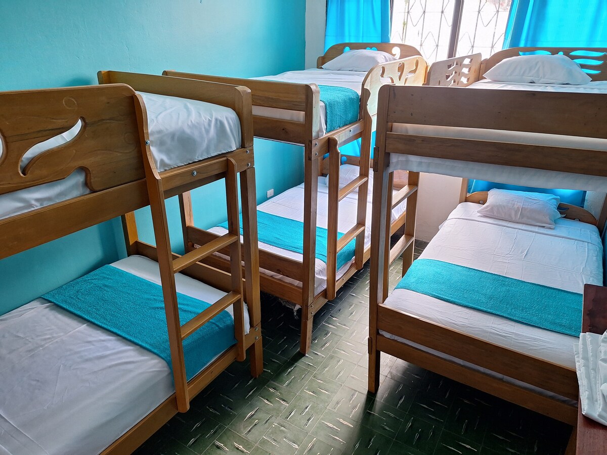 A shared bedroom is presented with multiple wooden bunk beds and single beds. Each bed is neatly made with white linens and a turquoise accent towel. Large windows are adorned with blue curtains, allowing natural light to brighten the space.