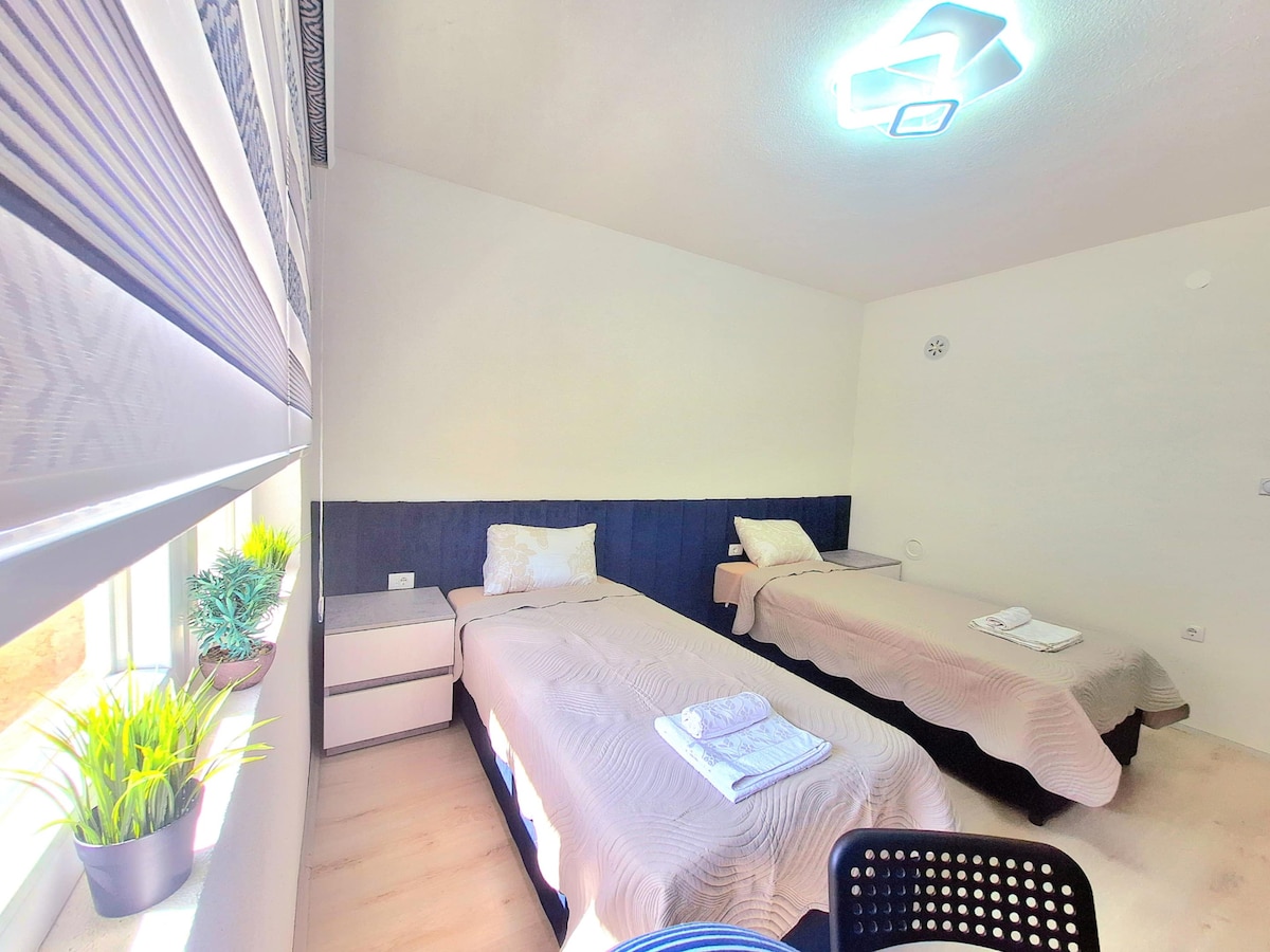 The room features two single beds positioned alongside a window, with natural light filtering through partially closed blinds. A small nightstand is located between the beds. A potted plant adds a touch of greenery, while modern lighting fixtures enhance the overall ambiance.