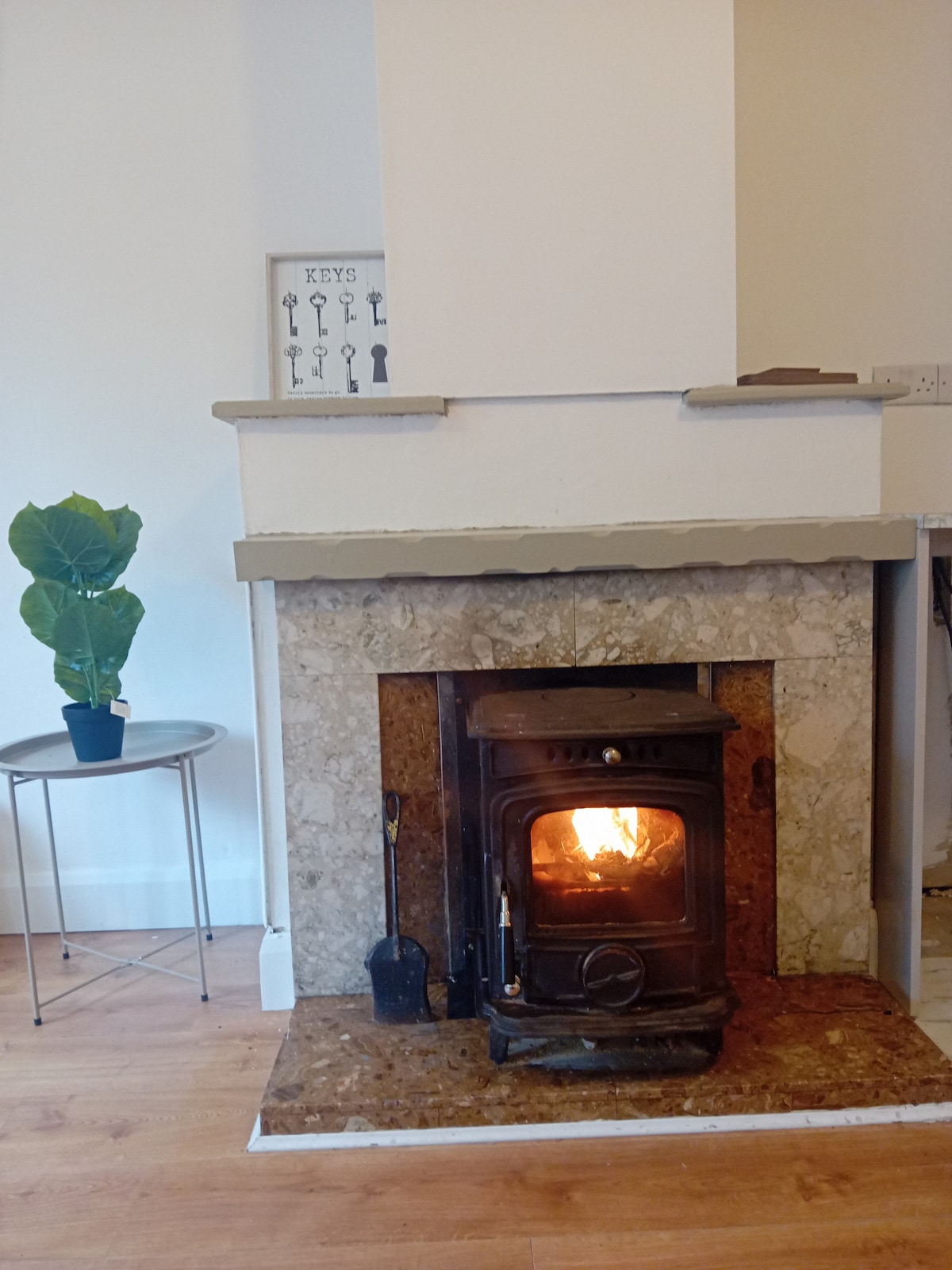 A stone fireplace is centered in the image, featuring a wood-burning stove with a visible flame. A small table next to the fireplace holds a potted plant. A decorative print of keys is displayed on the wall above the fireplace.