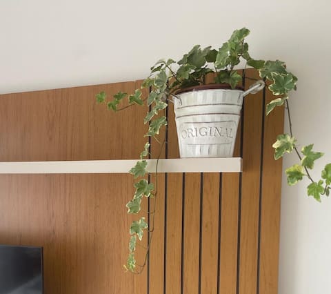 Top Airbnb: Cozy Studio in central location from Curitiba em Centro
