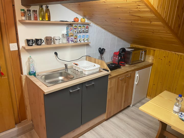 Ferienwohnung Euphrosina - 瑞士