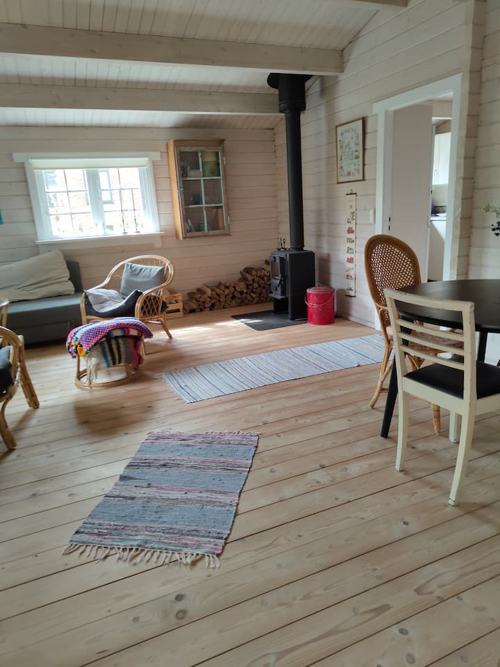 Annex På 58 M2 I Baghave . - Copenhagen